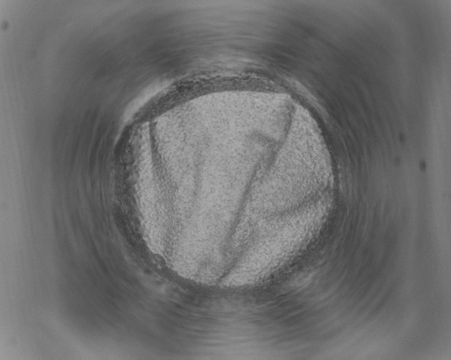 X0000067900675200605111918