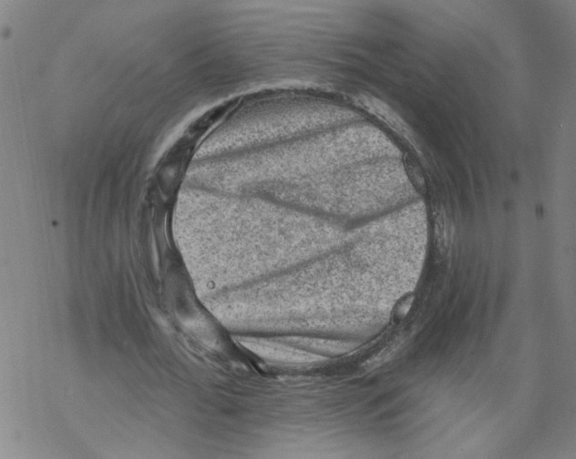 X0000067900676200605111918