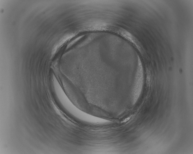 X0000067900677200605111918