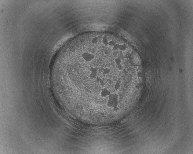 X0000067900679200605111918