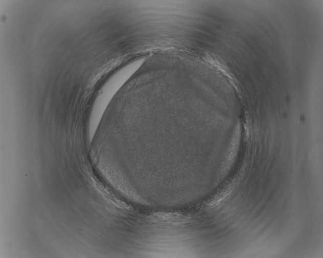 X0000067900681200605111918