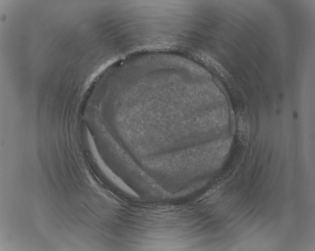 X0000067900684200605111918