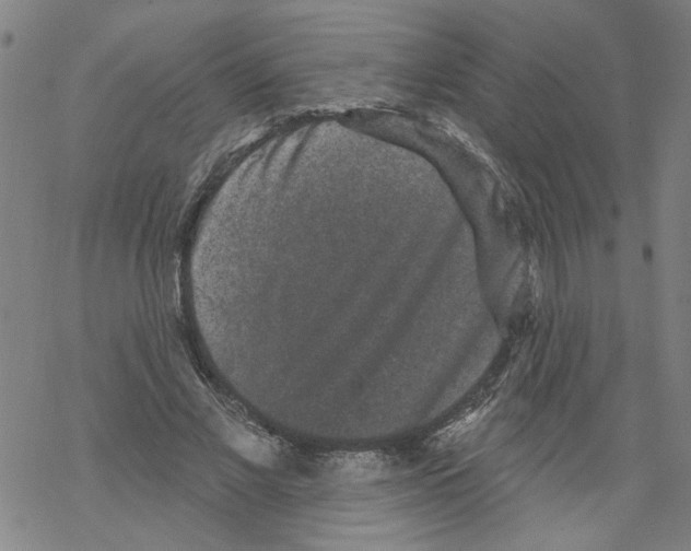 X0000067900685200605111918