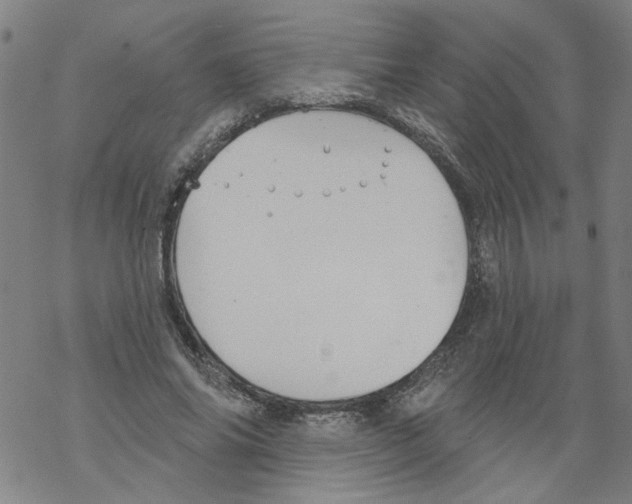 X0000067900686200605111917