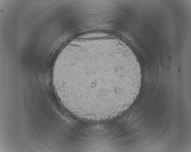 X0000067900687200605111917