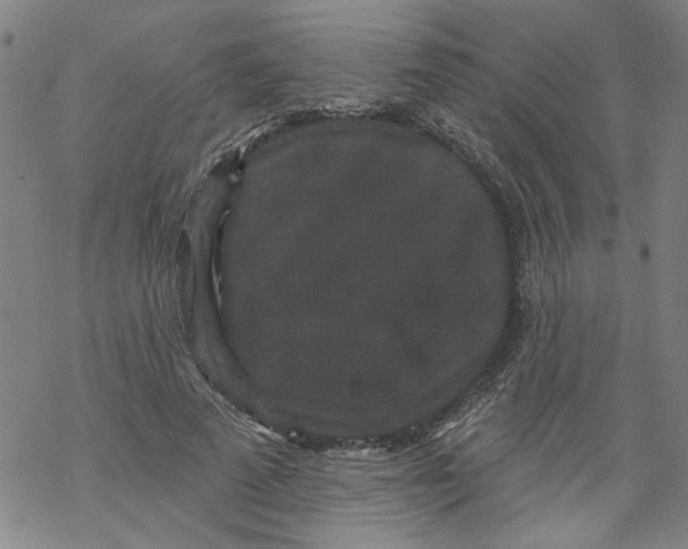 X0000067900689200605111917