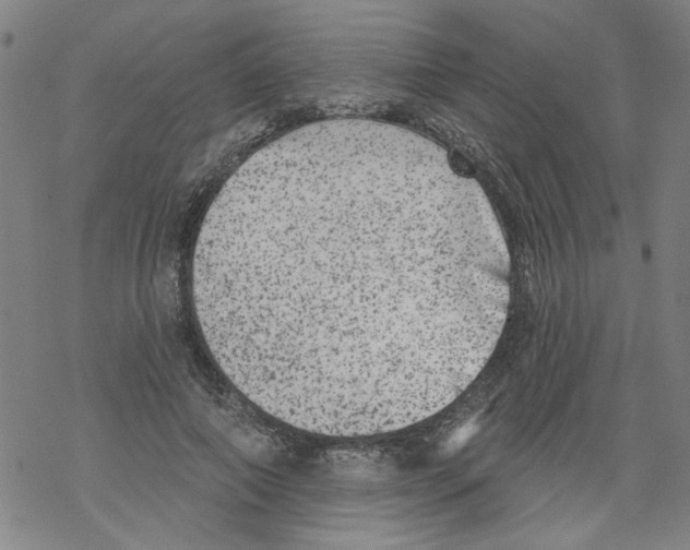 X0000067900690200605111917