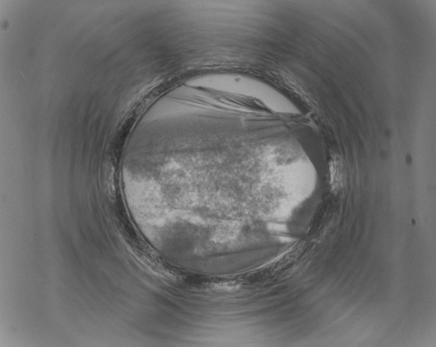 X0000067900692200605111917