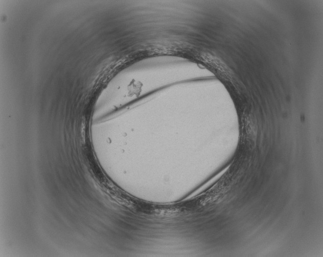 X0000067900694200605111917