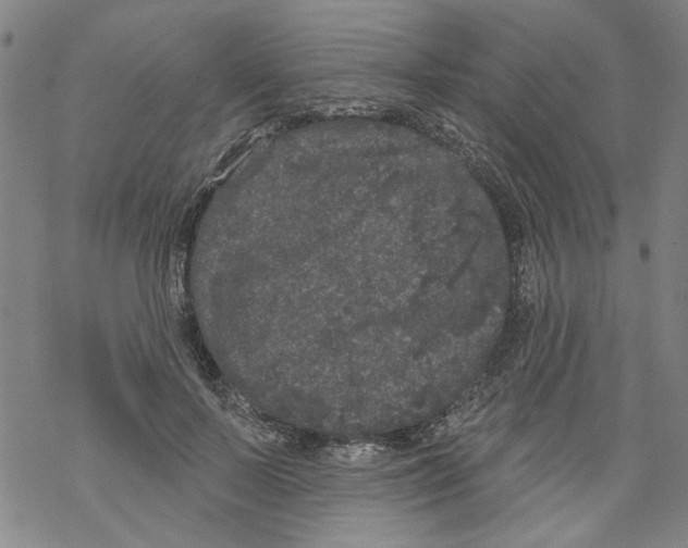 X0000067900695200605111917