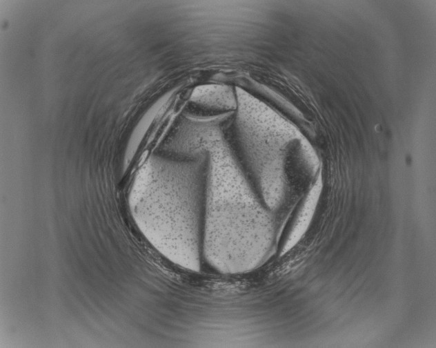 X0000067900697200605111917