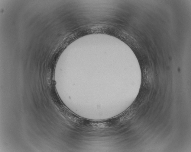 X0000067900698200605111917