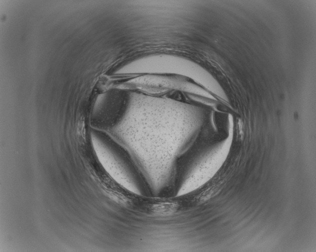 X0000067900700200605111917