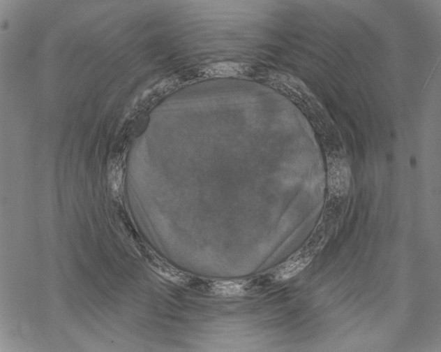 X0000067900701200605111917