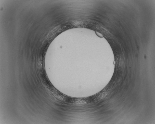 X0000067900702200605111917