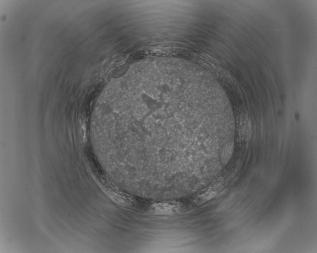 X0000067900703200605111917