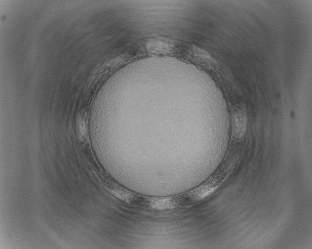 X0000067900705200605111917