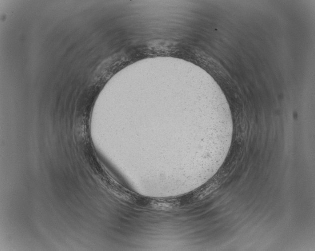 X0000067900706200605111917