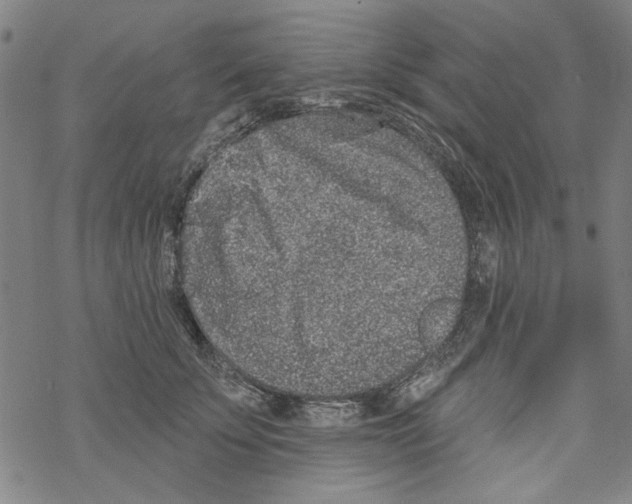 X0000067900707200605111917