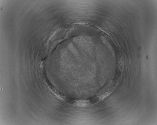 X0000067900708200605111917