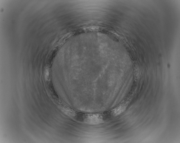 X0000067900709200605111917