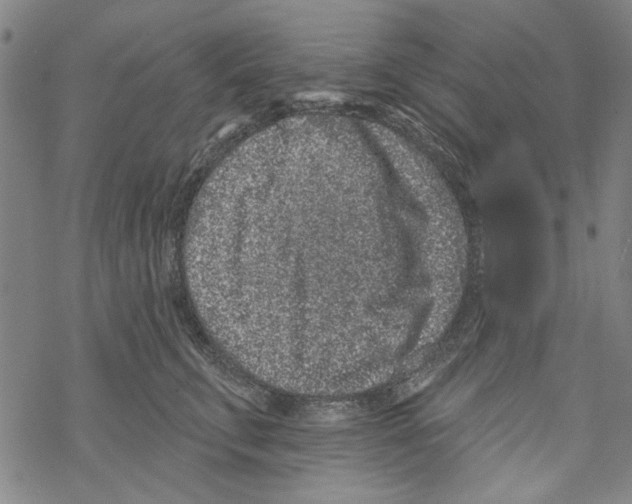 X0000067900711200605111917