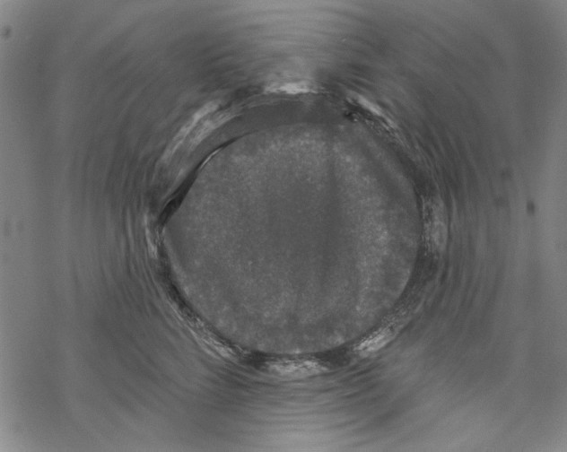 X0000067900712200605111917