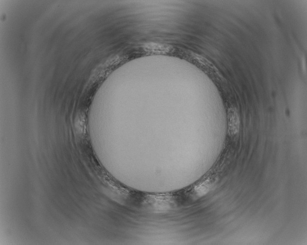 X0000067900713200605111917