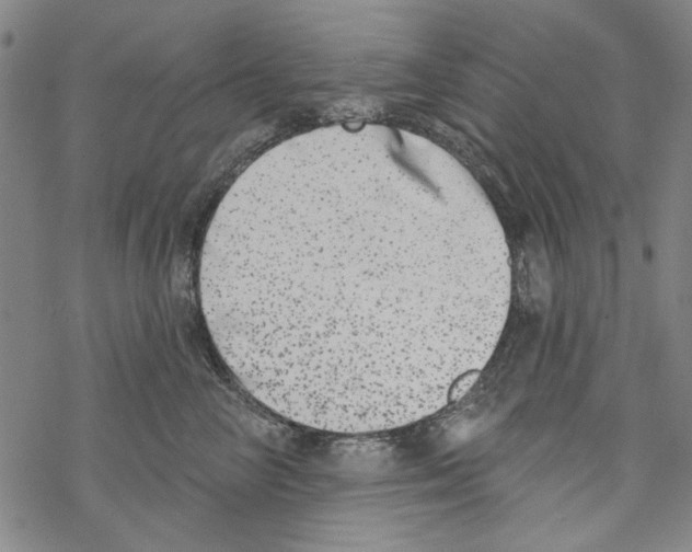 X0000067900714200605111917