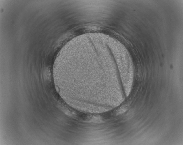 X0000067900715200605111917