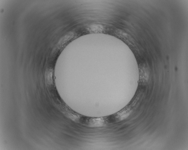 X0000067900717200605111917