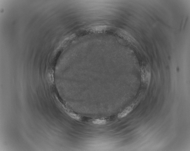 X0000067900718200605111917