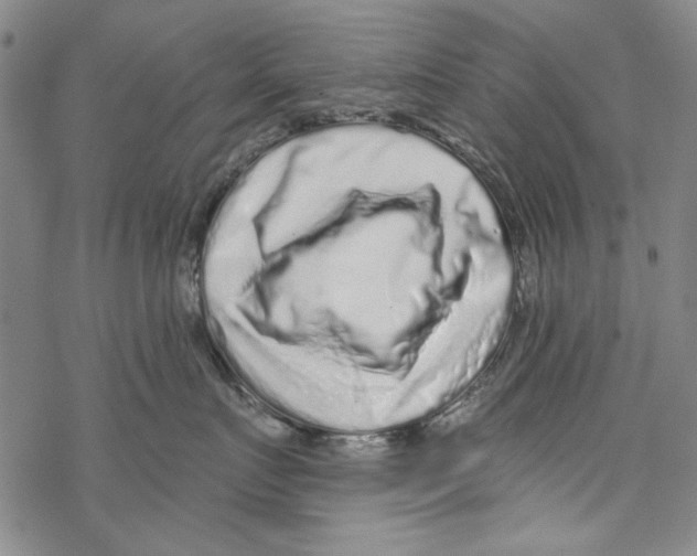 X0000067900719200605111917