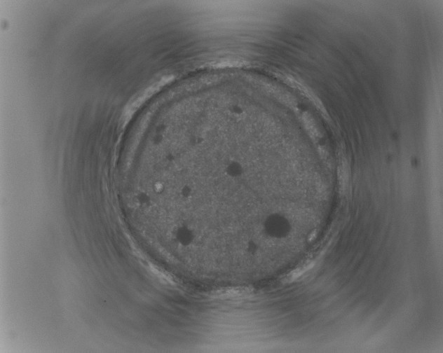 X0000067900721200605111916