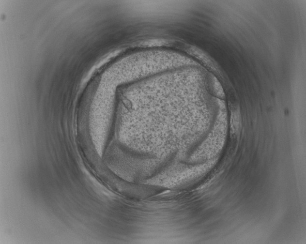 X0000067900722200605111916