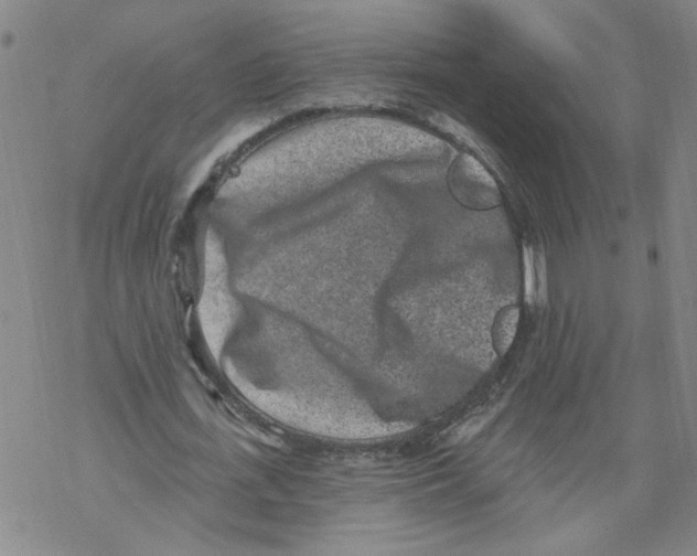 X0000067900723200605111916