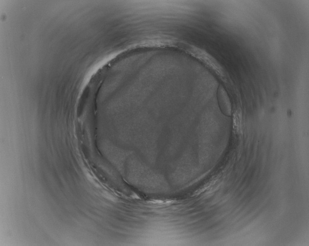 X0000067900724200605111916