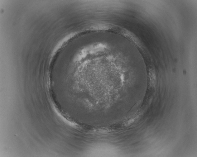 X0000067900726200605111916