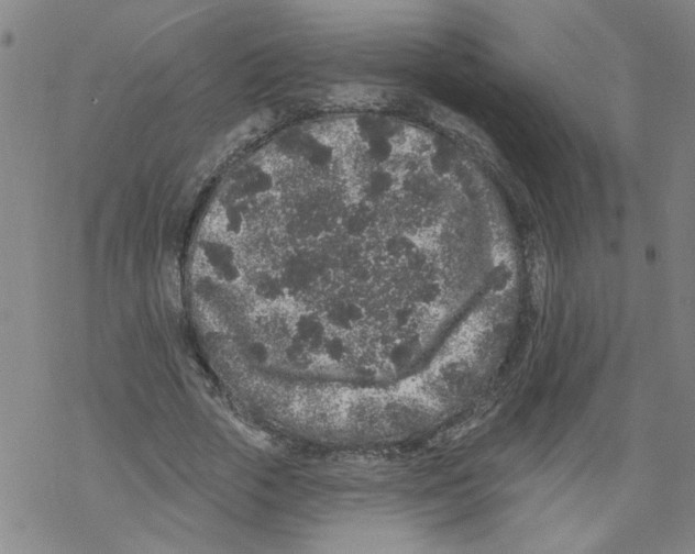 X0000067900729200605111916