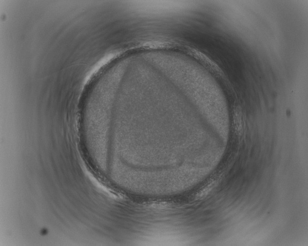 X0000067900730200605111916