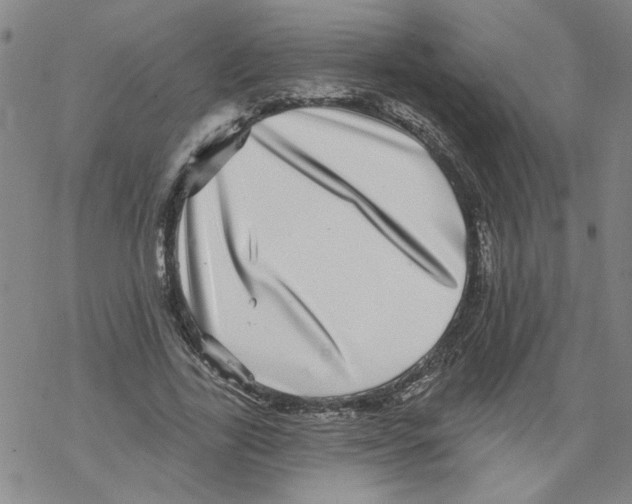 X0000067900731200605111916