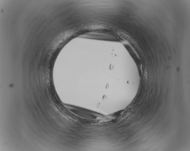 X0000067900732200605111916