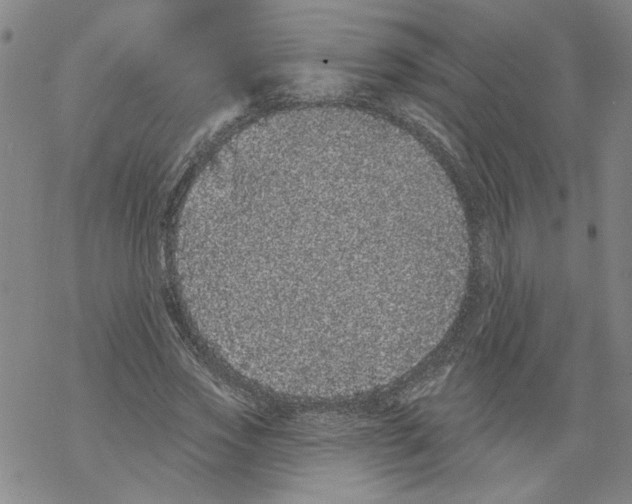 X0000067900733200605111916