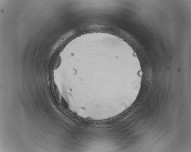 X0000067900734200605111916