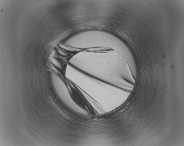 X0000067900735200605111916