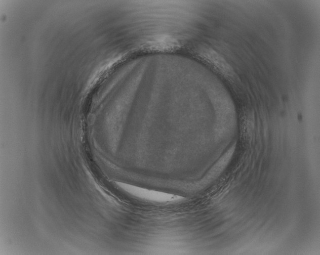 X0000067900736200605111916