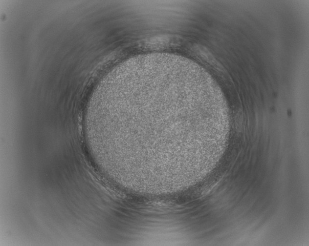 X0000067900737200605111916