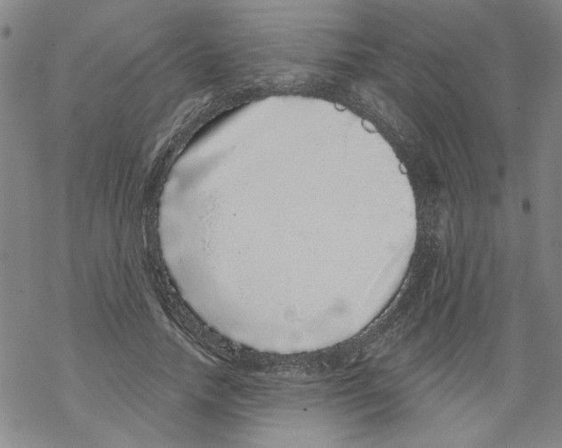 X0000067900738200605111916