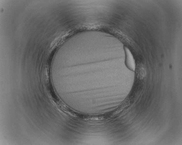 X0000067900740200605111916