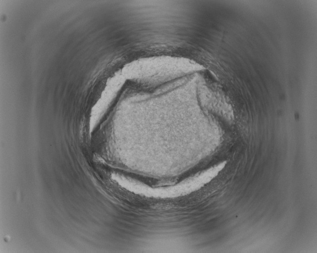 X0000067900742200605111916